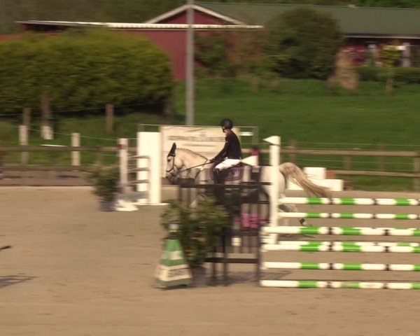 Reitturnier Looperholzer Turniertage 2024