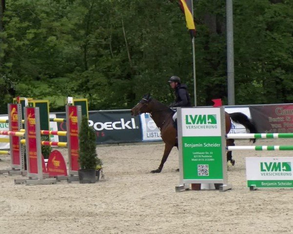Reitturnier Karlsfeld/Obb. 2024