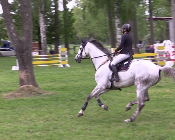 Reitturnier Derenburg 2024