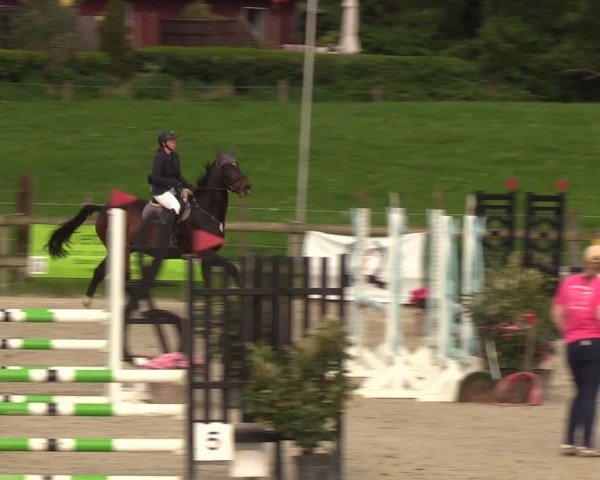 Reitturnier Looperholzer Turniertage 2024