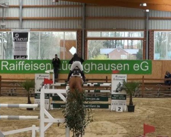 Rosendorf-Classics 2012