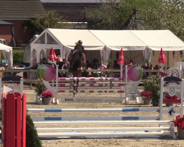 Reitturnier Looperholzer Turniertage 2024