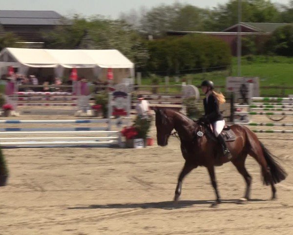 Reitturnier Looperholzer Turniertage 2024