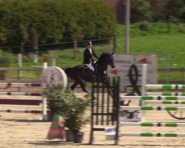 Reitturnier Looperholzer Turniertage 2024