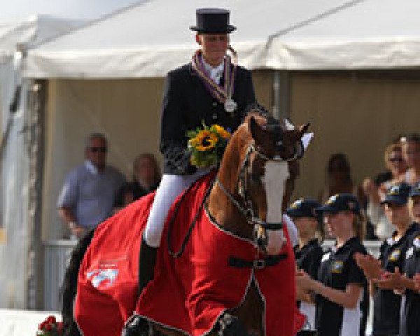 stallion Lissaro (Hanoverian, 2005, from Lissabon 29)