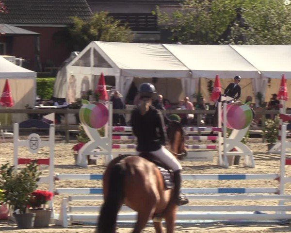 Reitturnier Looperholzer Turniertage 2024