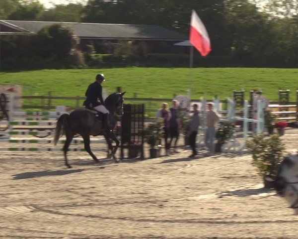Reitturnier Looperholzer Turniertage 2024