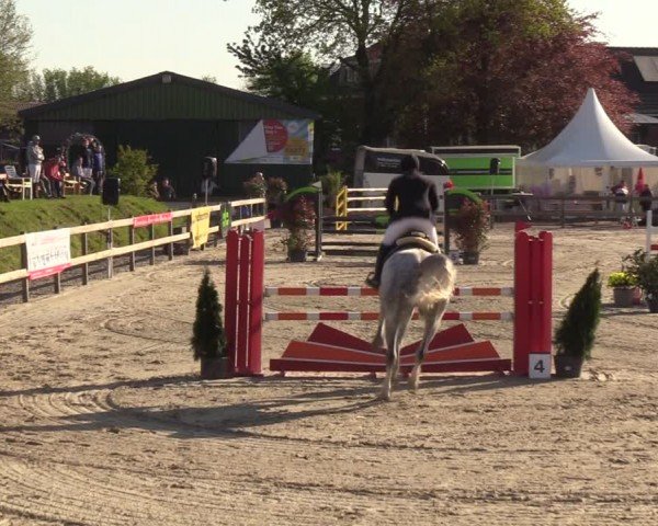 Reitturnier Looperholzer Turniertage 2024