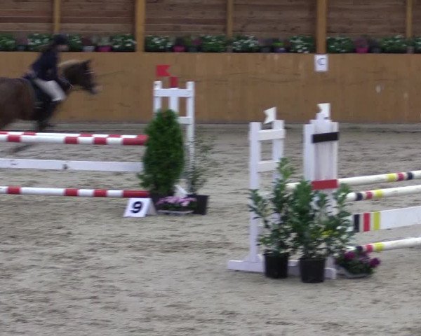 Ponyturnier Xanten - Reitanlage Miss 2021