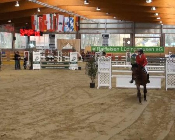 Rosendorf-Classics 2012