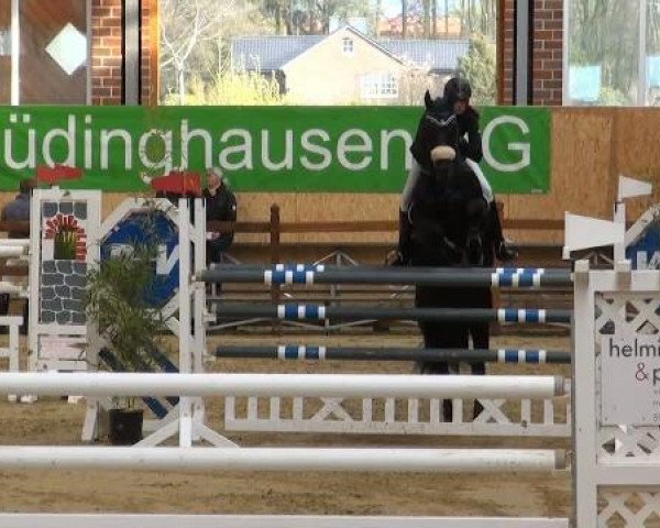 Rosendorf-Classics 2012