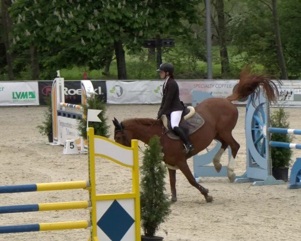 Reitturnier Karlsfeld/Obb. 2024