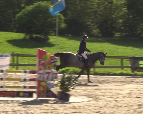 Reitturnier Looperholzer Turniertage 2024