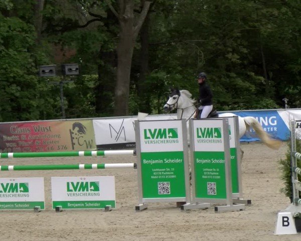 Reitturnier Karlsfeld/Obb. 2024