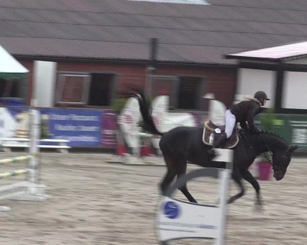 Reitturnier Havixbeck 2024