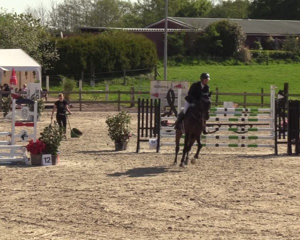 Reitturnier Looperholzer Turniertage 2024