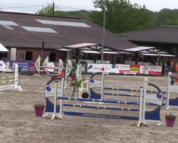 Reitturnier Havixbeck 2024