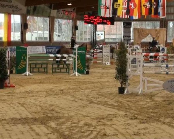 Rosendorf-Classics 2012