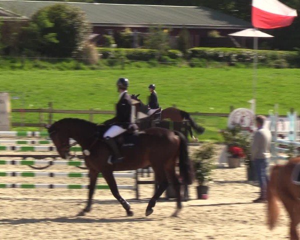 Reitturnier Looperholzer Turniertage 2024