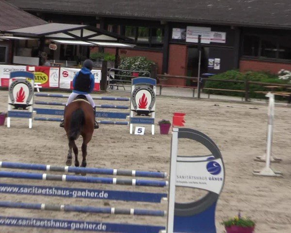 Reitturnier Havixbeck 2024