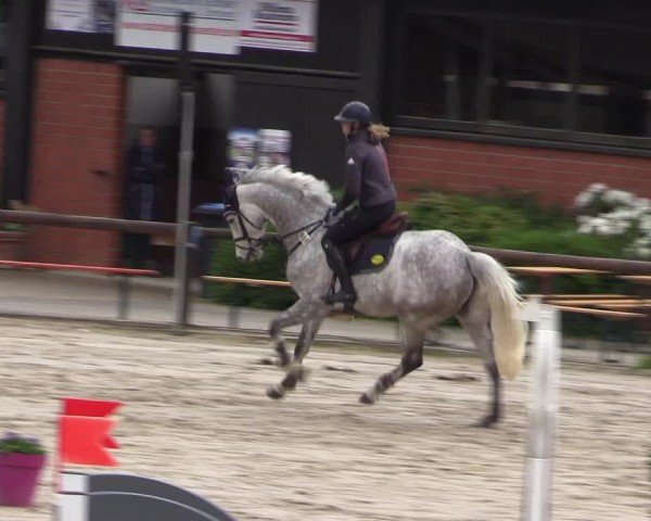Reitturnier Havixbeck 2024