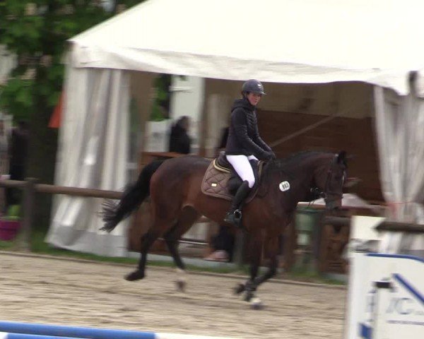 Reitturnier Havixbeck 2024