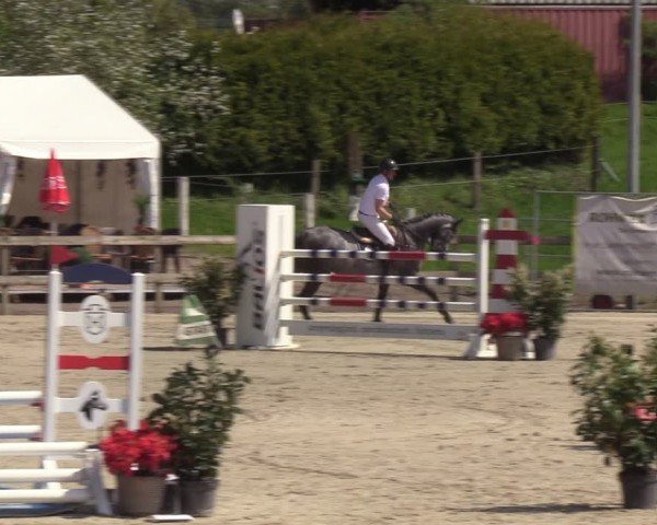 Reitturnier Looperholzer Turniertage 2024