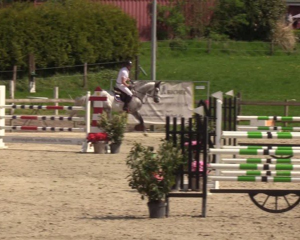 Reitturnier Looperholzer Turniertage 2024