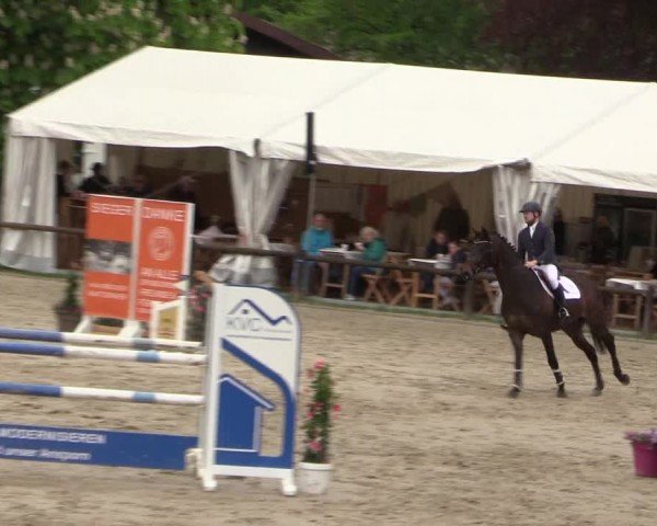 Reitturnier Havixbeck 2024