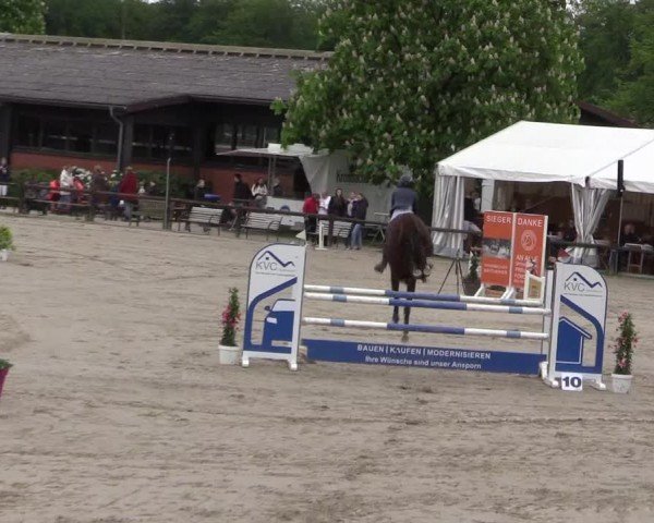 Reitturnier Havixbeck 2024