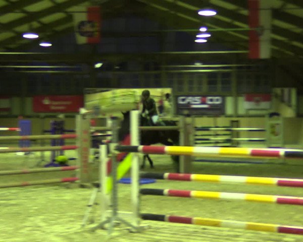 Reitturnier Elisenau 2021