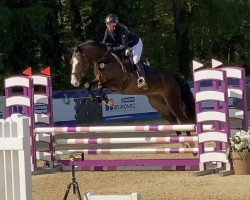 jumper Cornlief van het Zwarte Veld-Na (Czech Warmblood, 2019, from Cornessini)