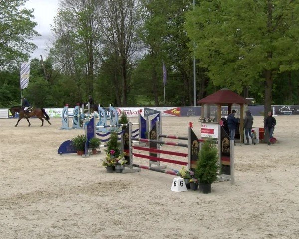 Reitturnier Karlsfeld/Obb. 2024