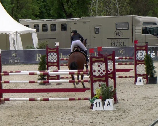 Reitturnier Karlsfeld/Obb. 2024