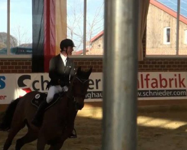 Rosendorf-Classics 2012