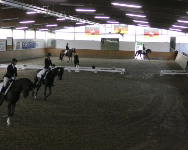 Reitturnier Hildesheim-Steuerwald 2024