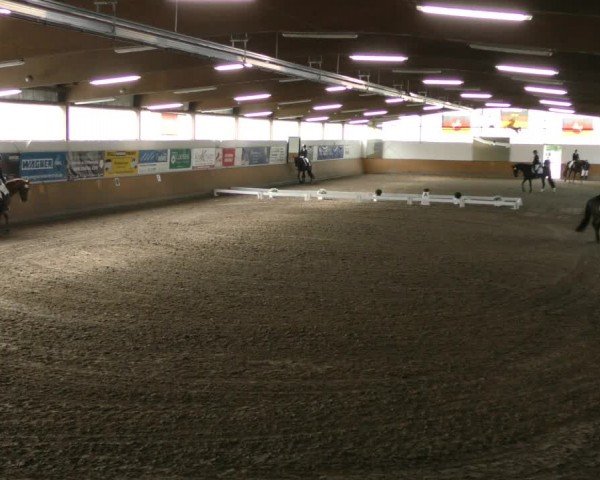 Reitturnier Hildesheim-Steuerwald 2024