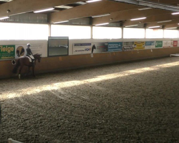 Reitturnier Hildesheim-Steuerwald 2024