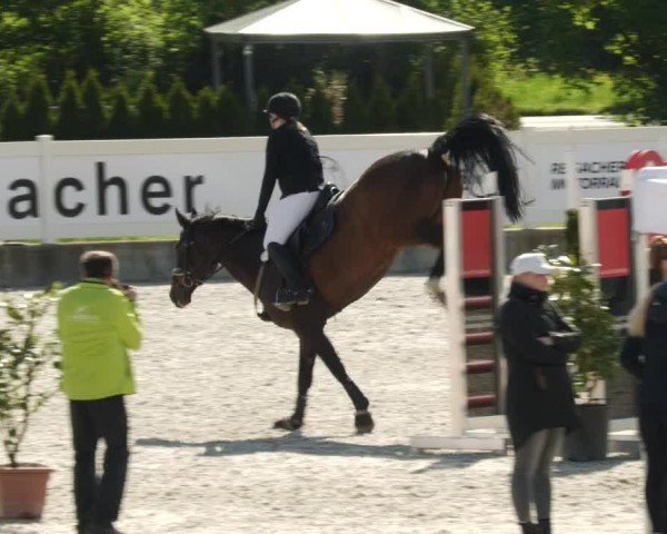 Reitturnier Babenhausen/Schw. 2024