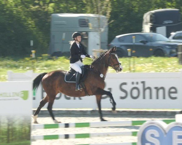 Reitturnier Babenhausen/Schw. 2024