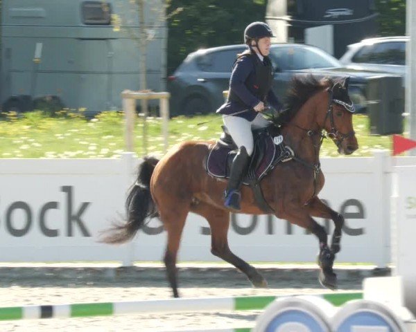 Reitturnier Babenhausen/Schw. 2024