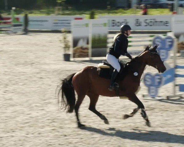Reitturnier Babenhausen/Schw. 2024
