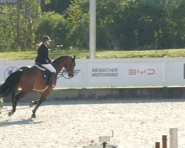 Reitturnier Babenhausen/Schw. 2024