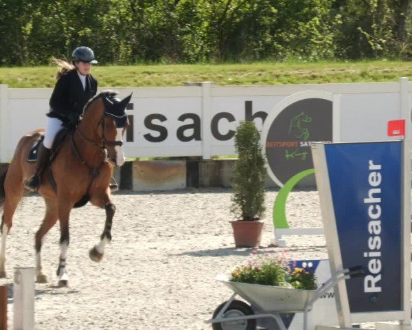 Reitturnier Babenhausen/Schw. 2024