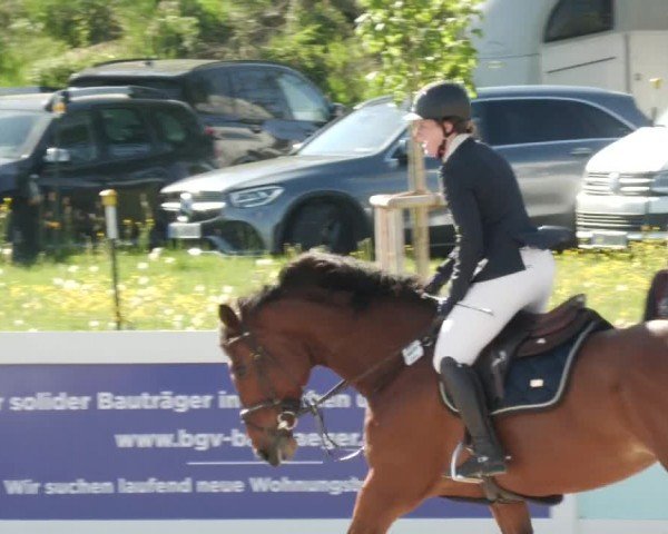 Reitturnier Babenhausen/Schw. 2024