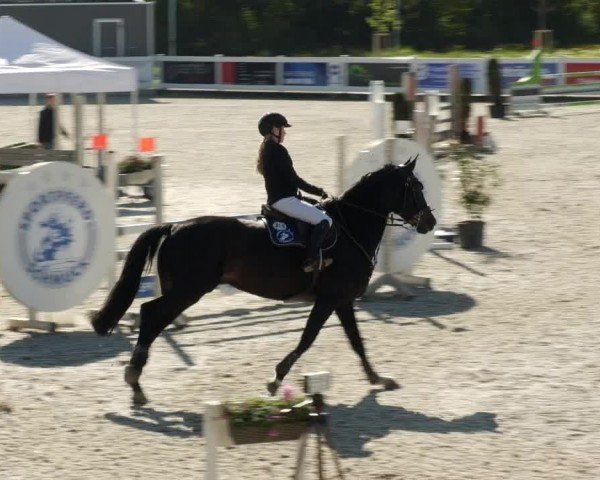 Reitturnier Babenhausen/Schw. 2024
