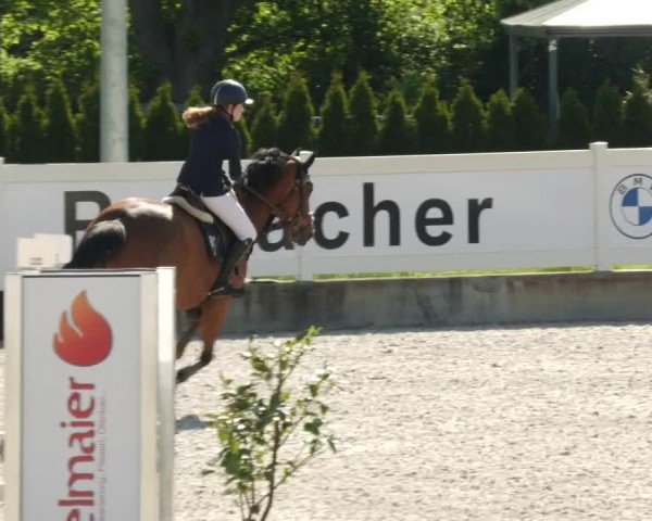 Reitturnier Babenhausen/Schw. 2024