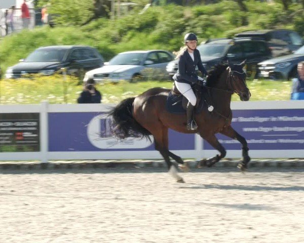 Reitturnier Babenhausen/Schw. 2024