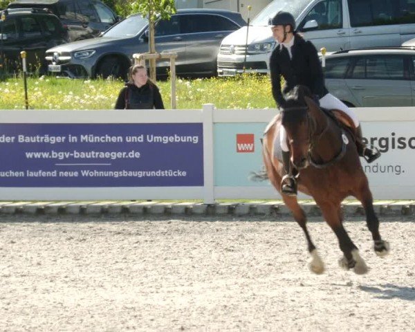 Reitturnier Babenhausen/Schw. 2024