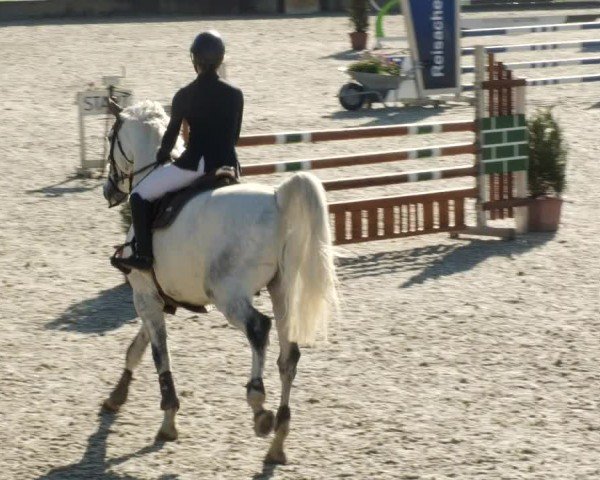 Reitturnier Babenhausen/Schw. 2024